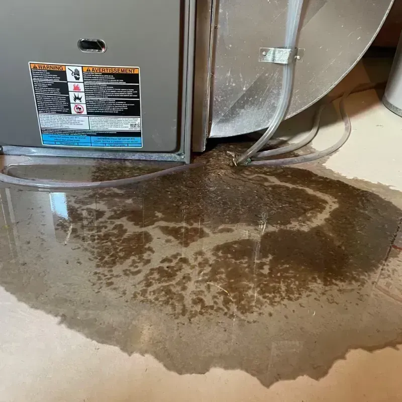 Appliance Leak Cleanup in Buena Vista, CO